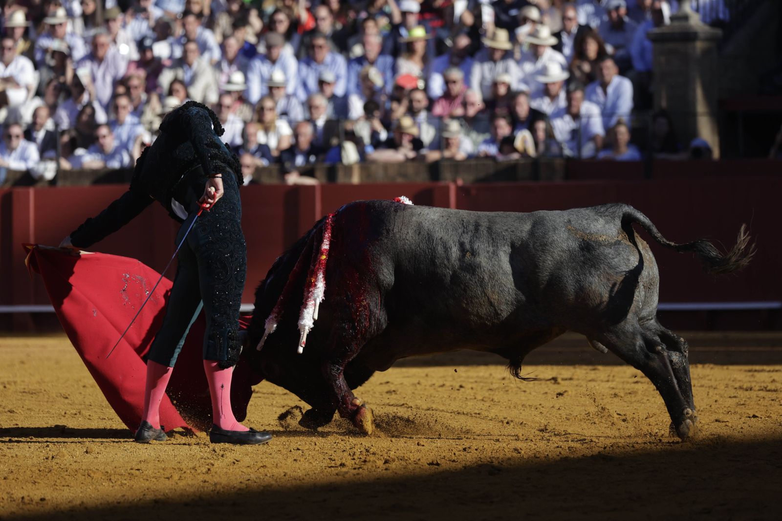 Las imágenes de la corrida de los Victorinos en la Maestranza de Sevilla