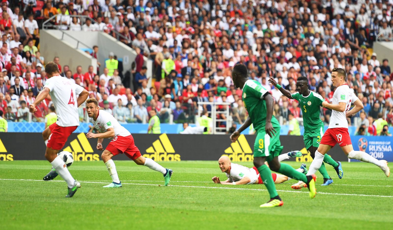Las imágenes del Polonia-Senegal