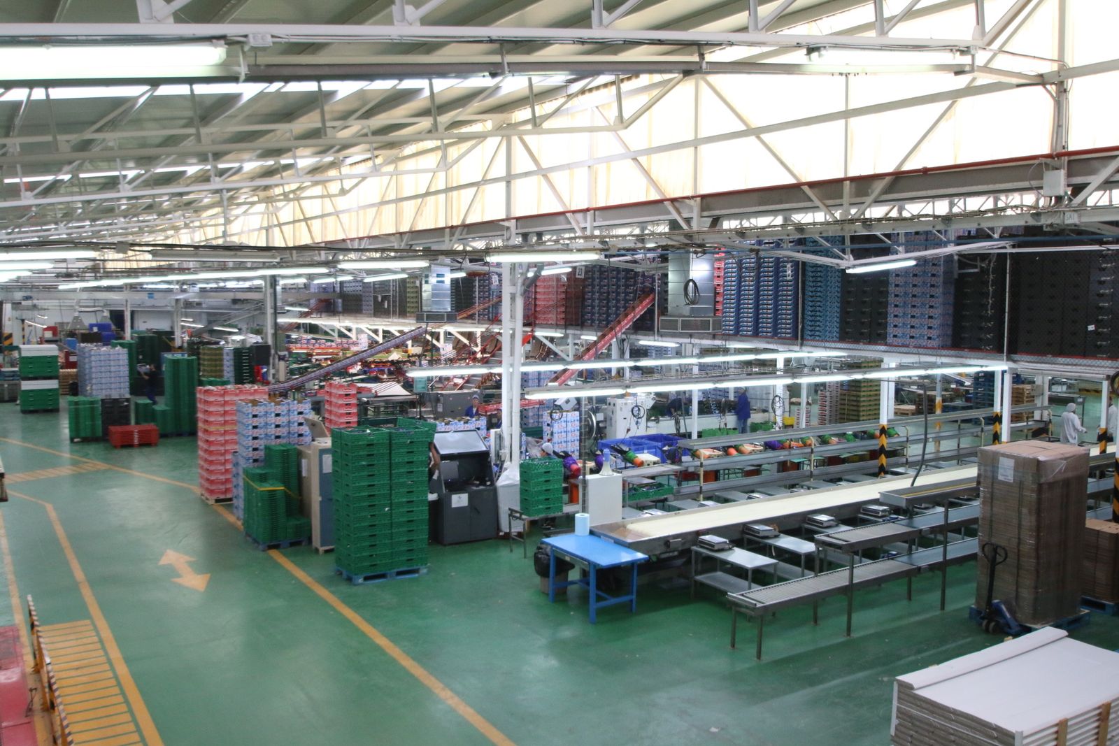 Las imágenes de la visita de Susana Díaz a Almería