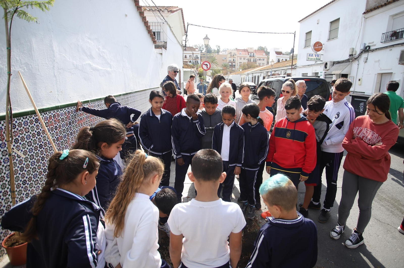 Imágenes la plantación de árboles en la Barriada de la Navidad por alumnos del Colegio Virgen de Belén