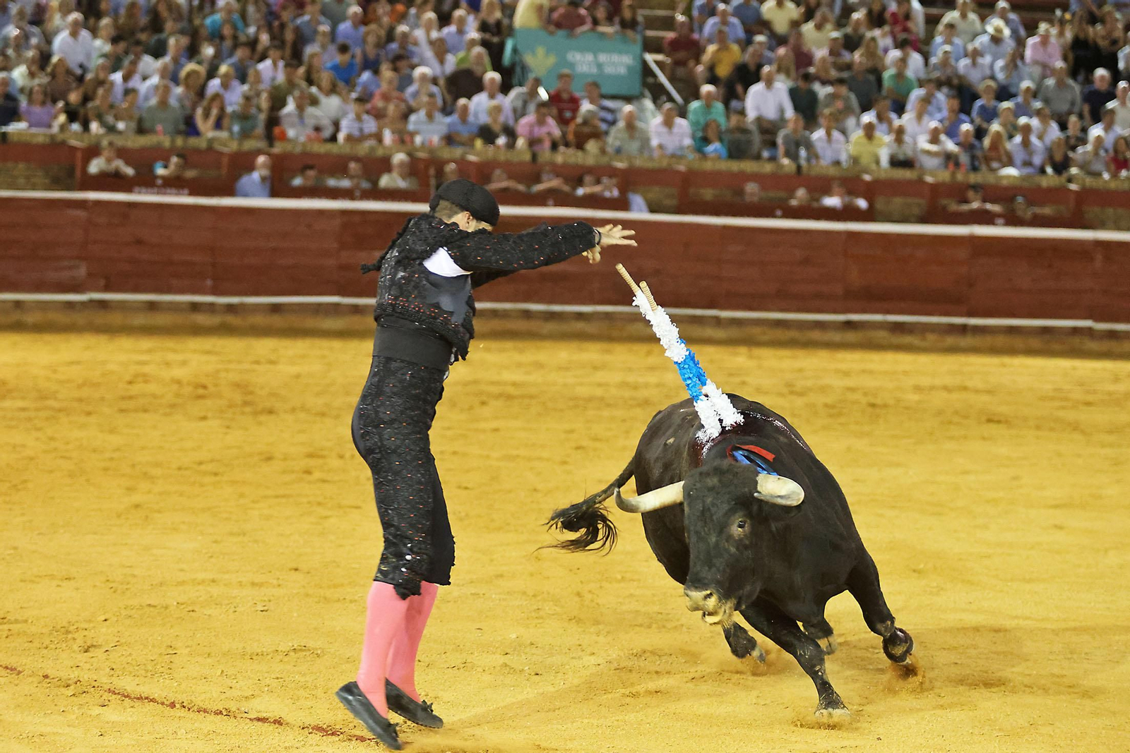 Toros La Merced 2024 Novillada con picadores(