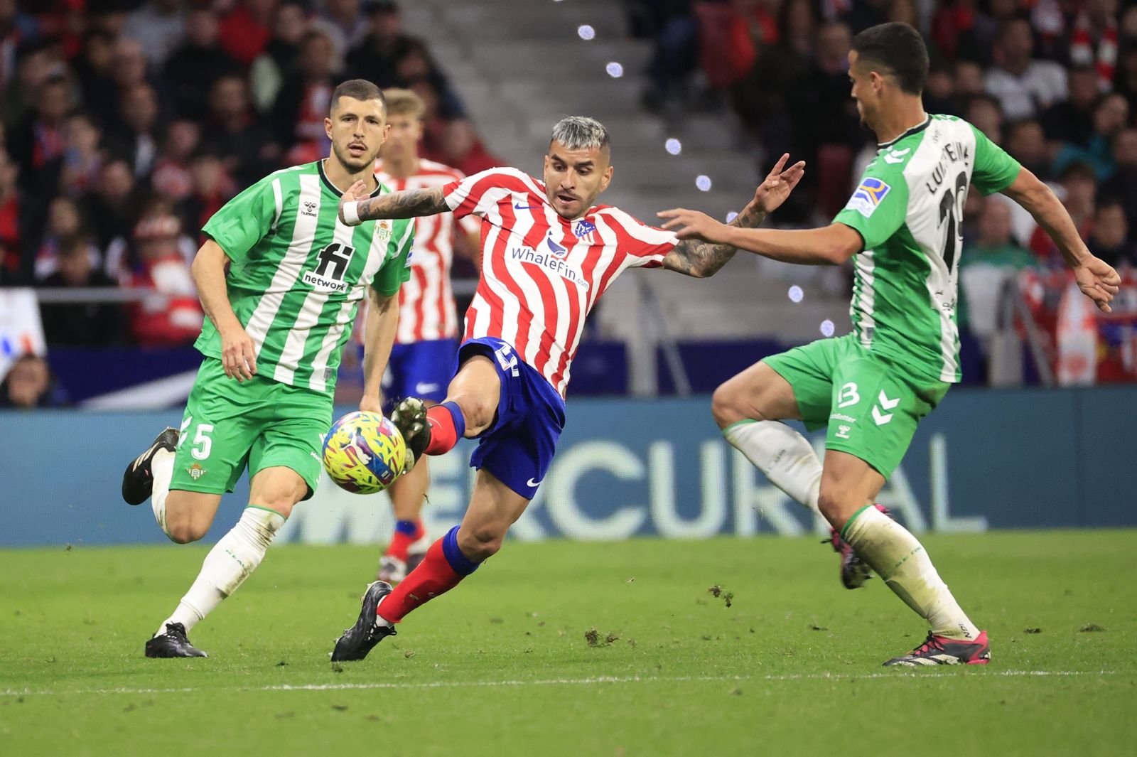 Las fotos del Atlético Madrid - Betis