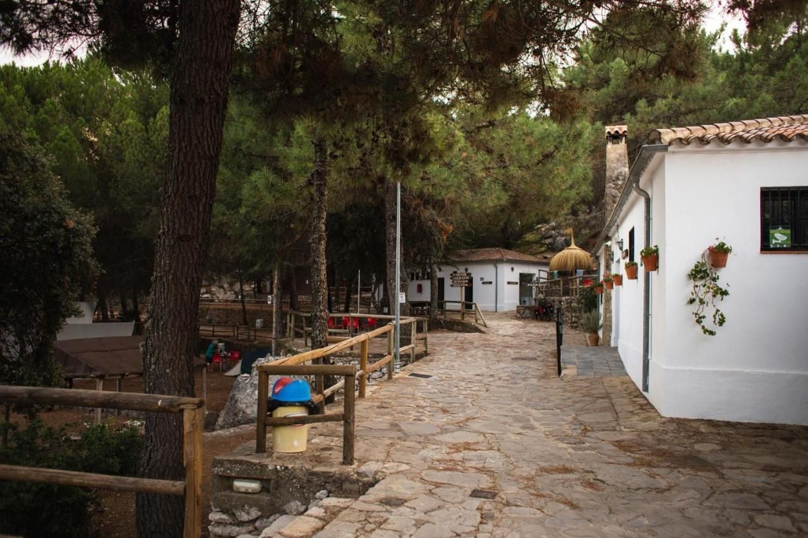 Camping Tajo Rodillo