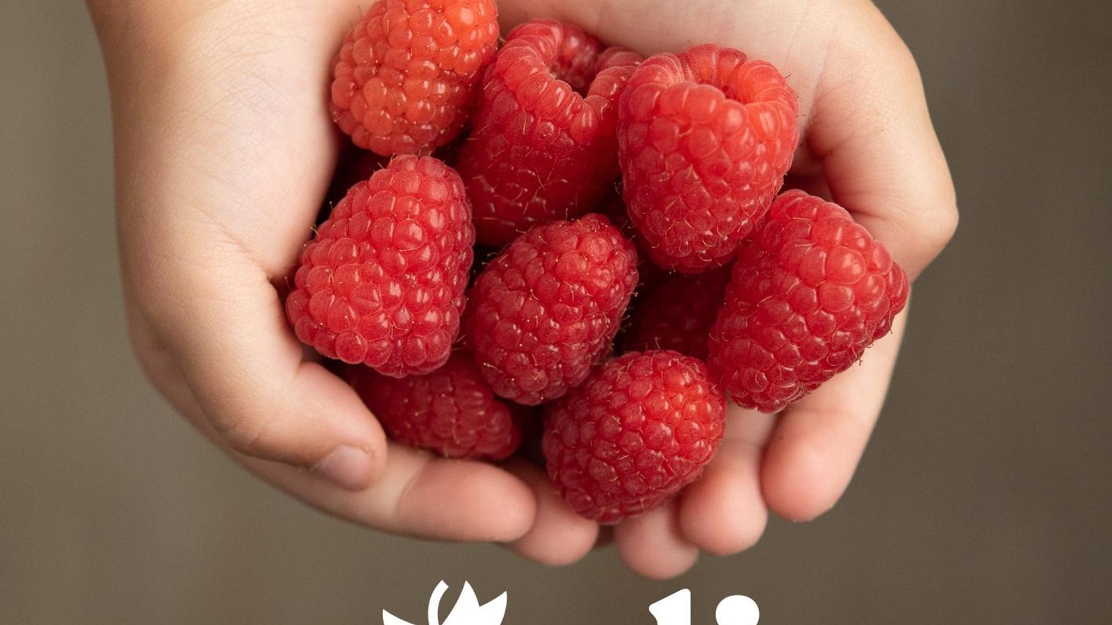 Noelia fnm’ estará presente en los principales mercados de Europa.