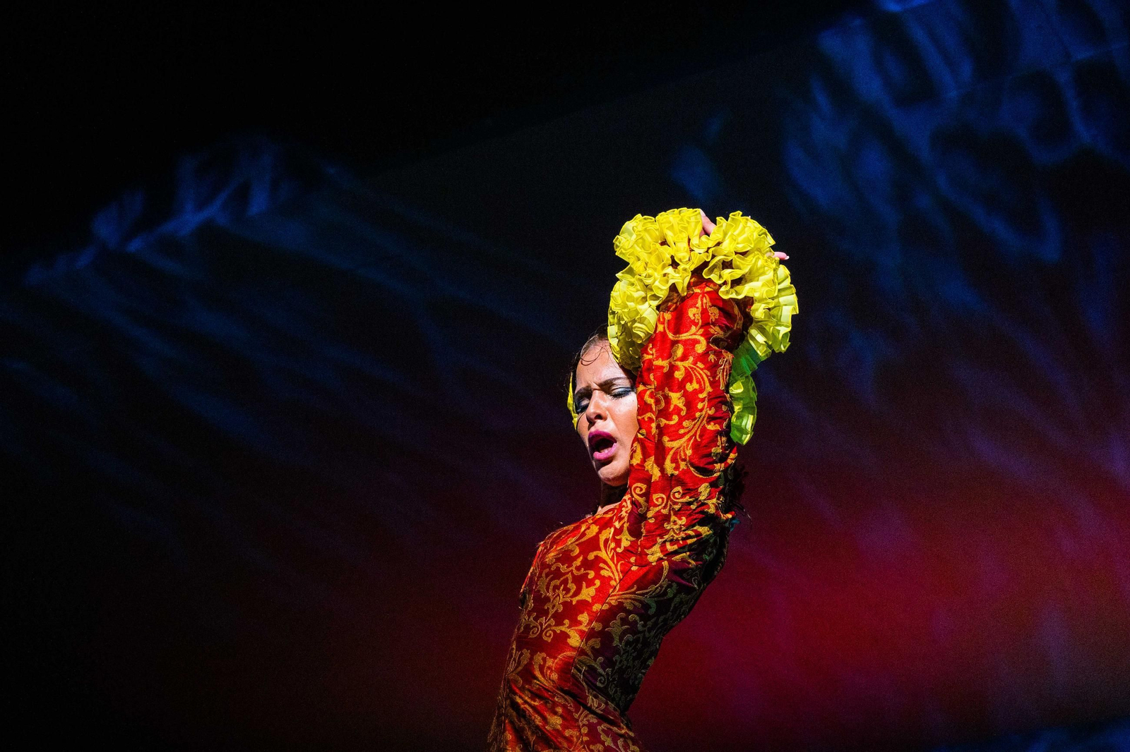 La Isla Ciudad Flamenca: Noche de baile en el Parque de San Fernando