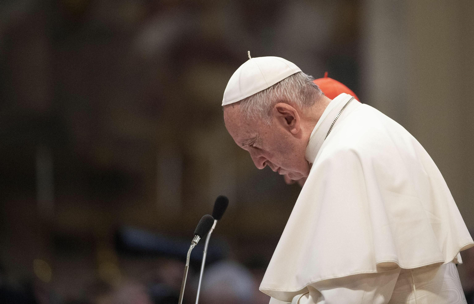 El Papa Francisco, en el Vaticano El Papa Francisco, en el Vaticano