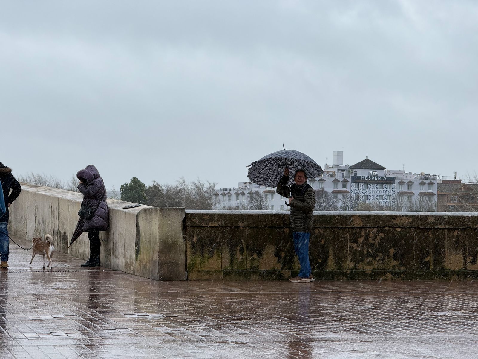 Las fuertes rachas de viento y la lluvia dejan las calles de Córdoba vacías