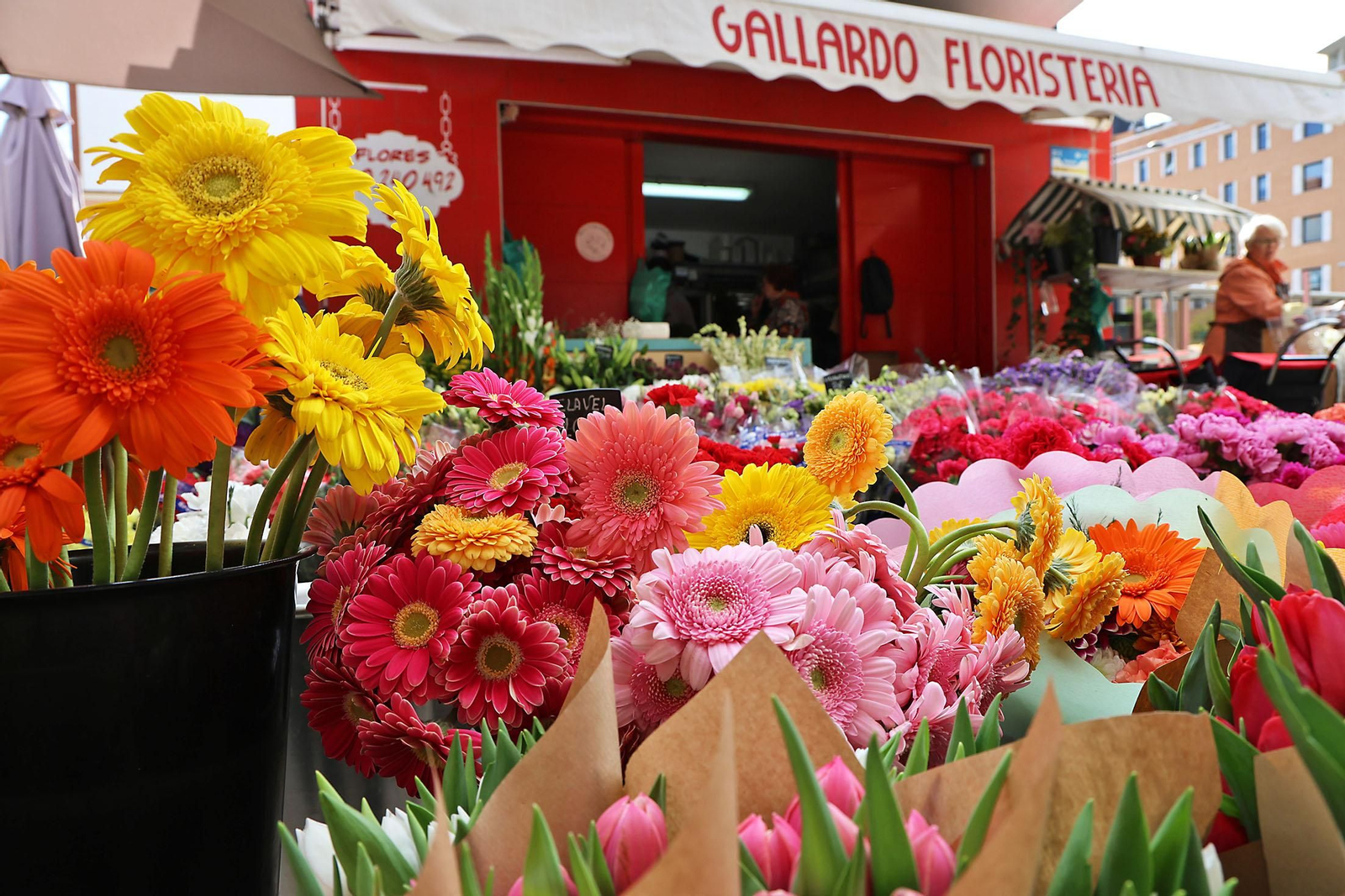Las imágenes más destacadas del lunes 28 de octubre en Huelva