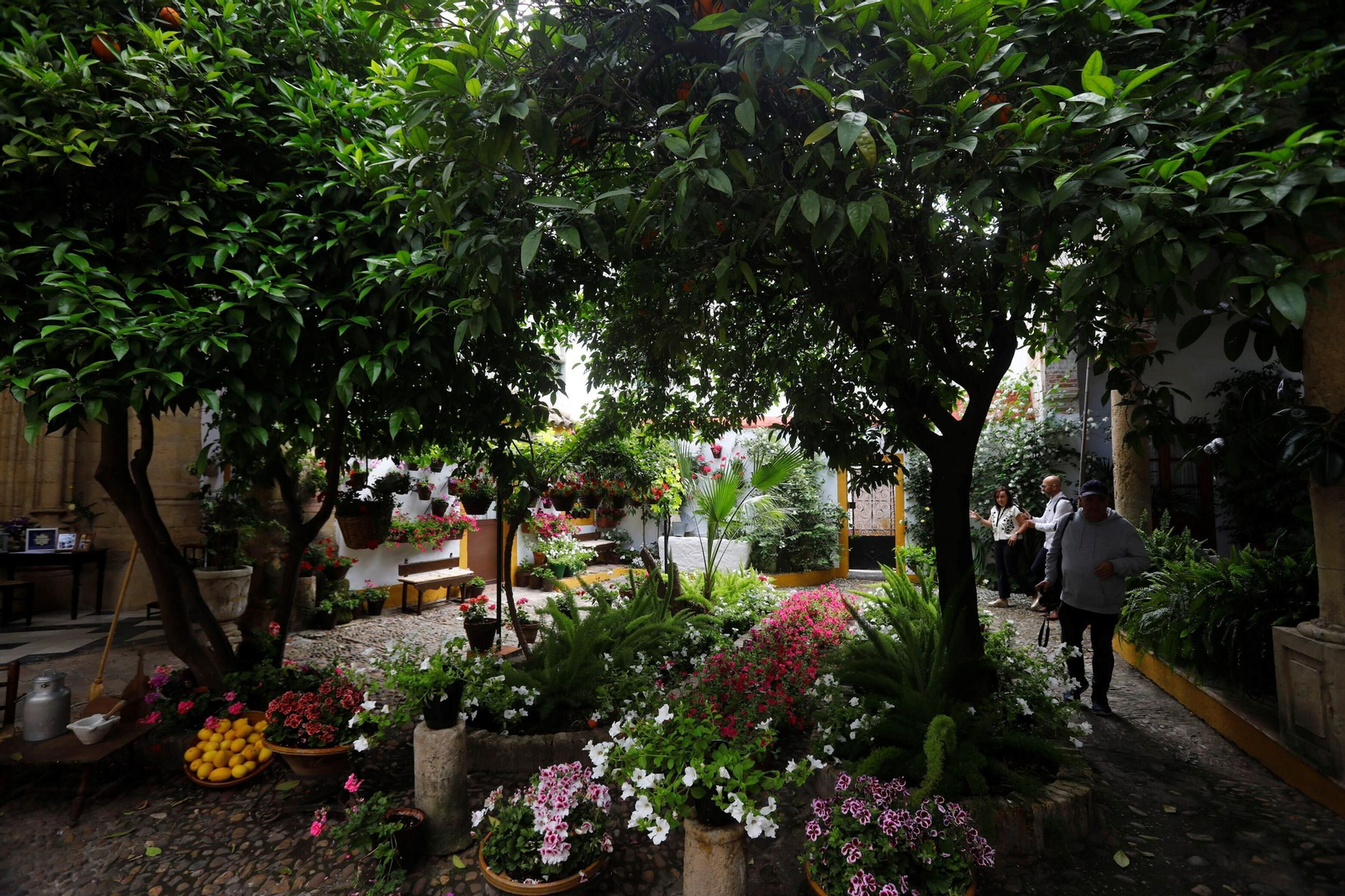 Patio de las Religiosas Jerónimas de Santa Marta y Hermandad de la Misericordia.
