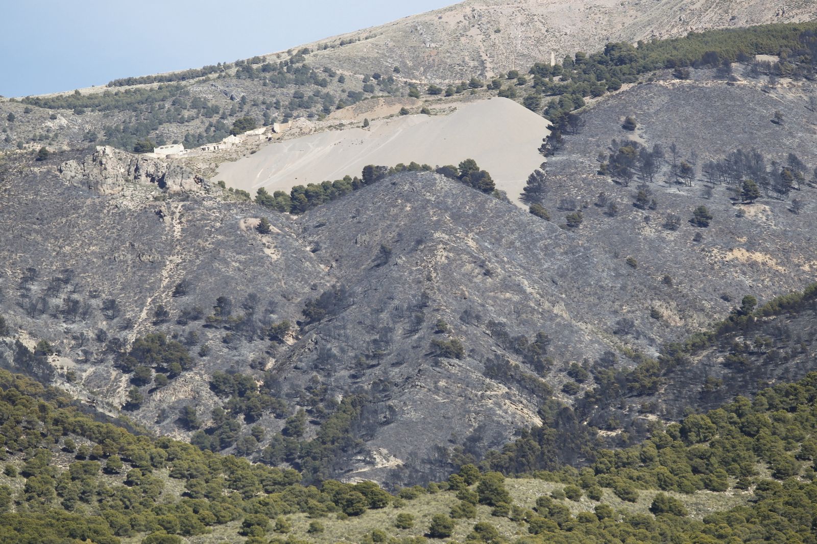 Fotogalería incendio forestal de Castala, Berja y Dalías.