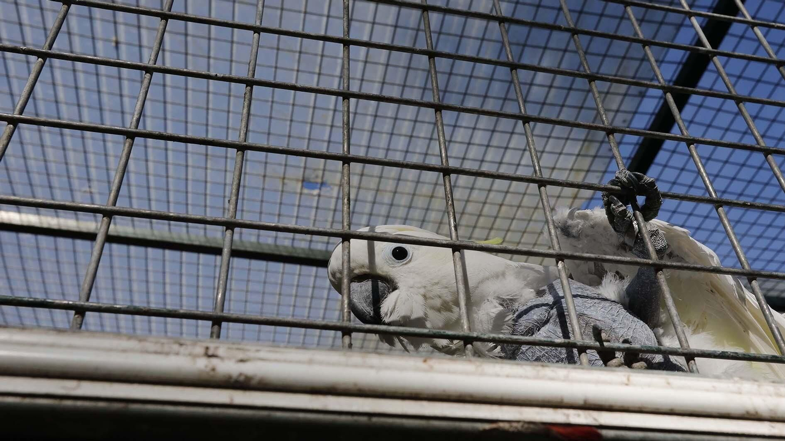 Las fotos del Zoo de Castellar de la Frontera