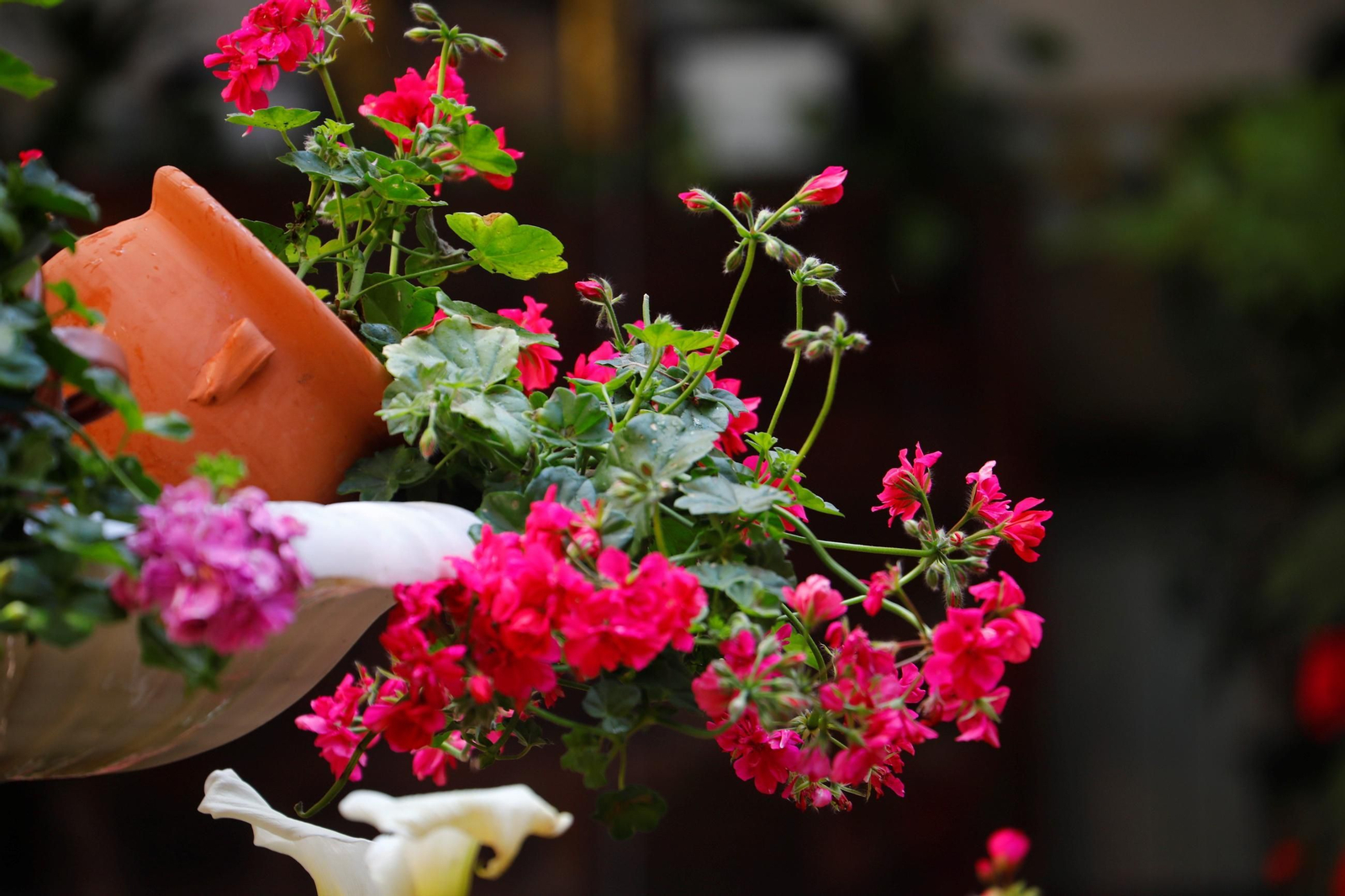 Patio del colegio Nuestra Señora de la Piedad.