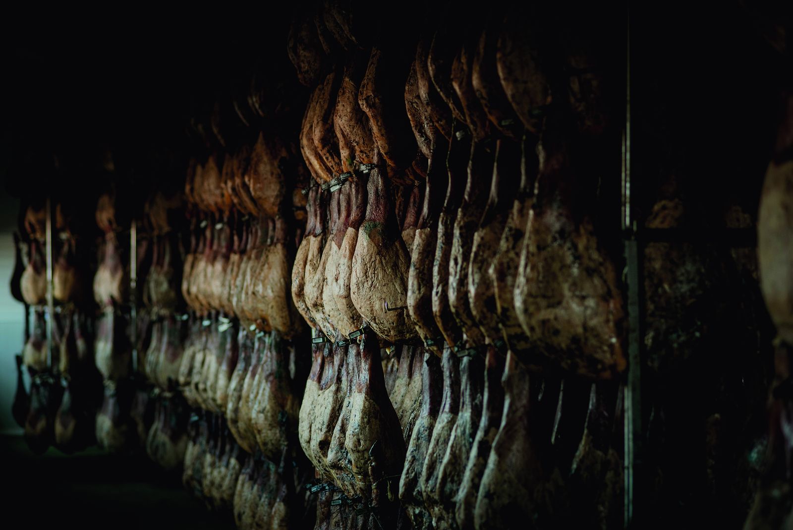 Dehesas reunidas: jamón de bellota 100% ibérico desde Los Pedroches