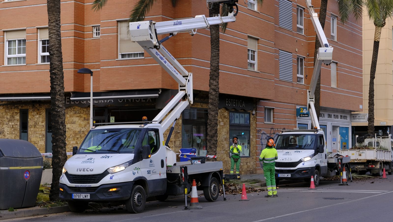 Fotogalería de la poda e inspección de las palmeras de la Avenida Cabo de Gata. Almería.