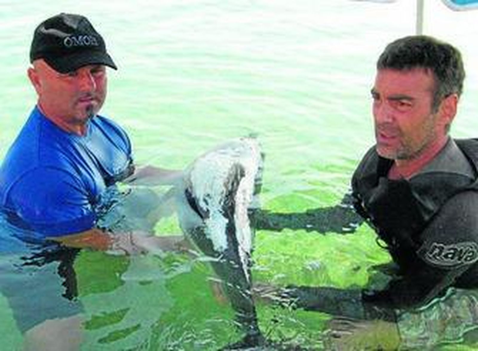 Desde el primer momento la participación fue muy alta.