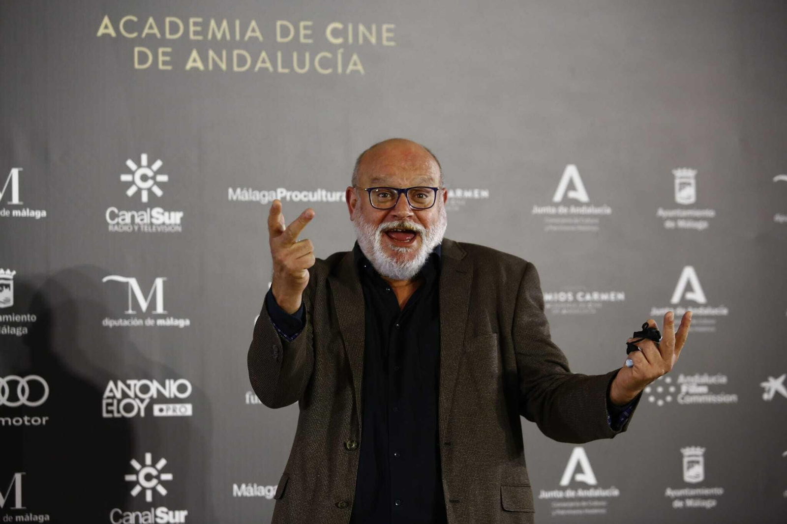 Las fotos de la alfombra roja de los Premios Carmen del cine andaluz, en Málaga