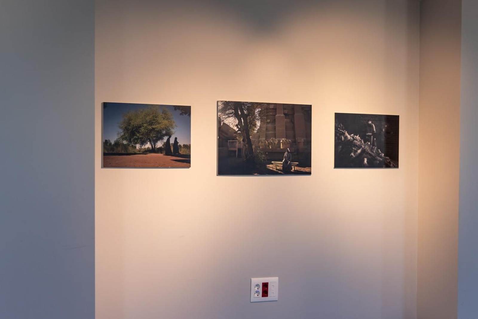 Egipto en Jaén: los bosques sagrados del país del Nilo cobran vida en imágenes