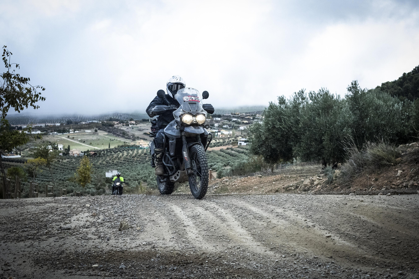 ¿Estuviste en la tercera edición de la ruta Olivobook? Búscate