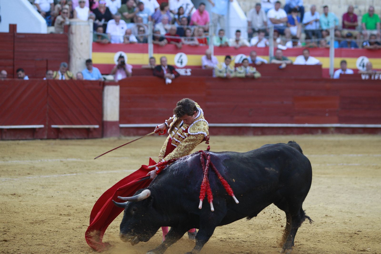 Imágenes de la corrida de toros del jueves en la Feria de Almería 2024