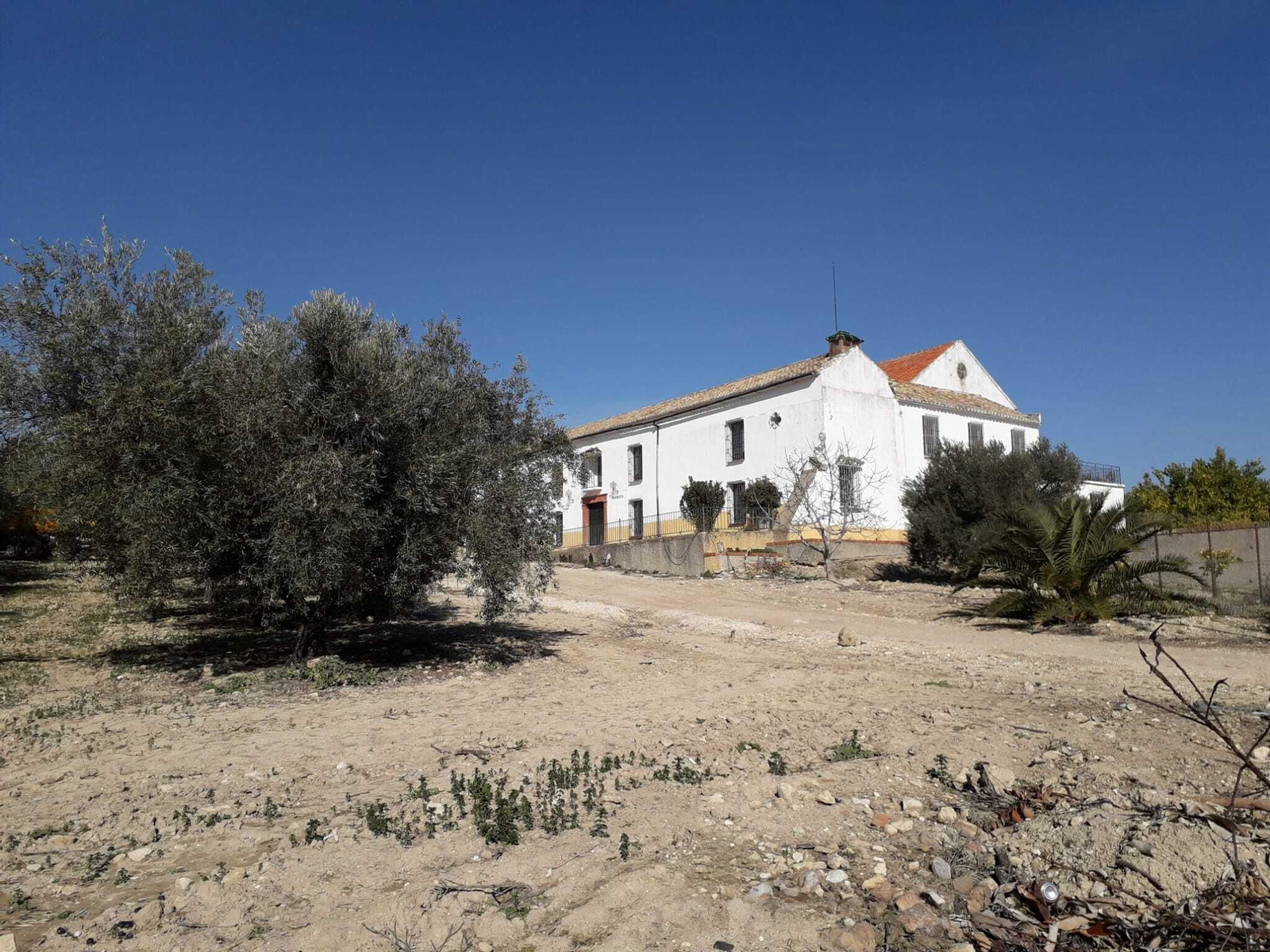 La laguna de Jarata de Montilla, en fotografías