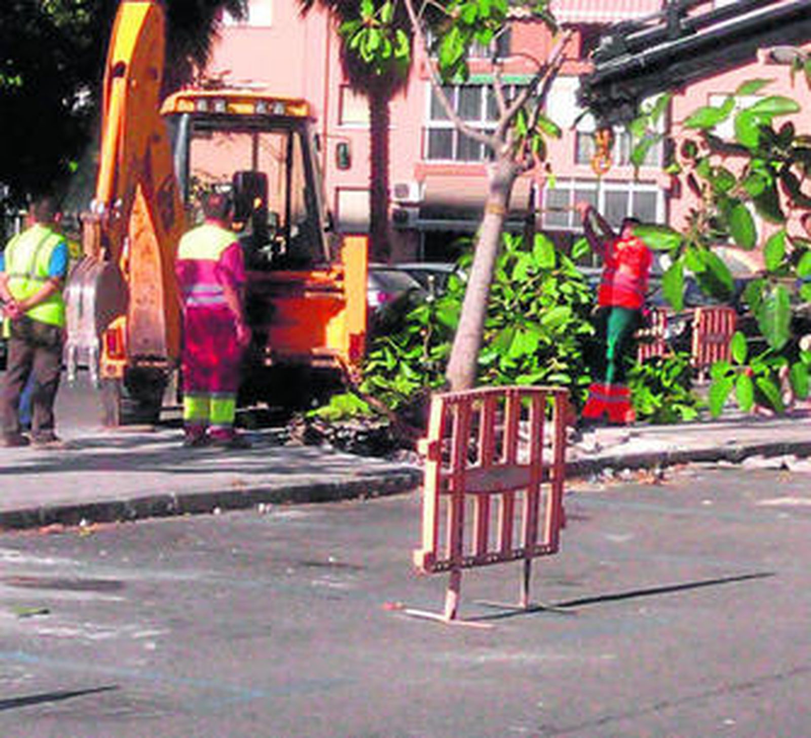 Traslado de los ficus de la plaza de Babel el pasado miércoles.