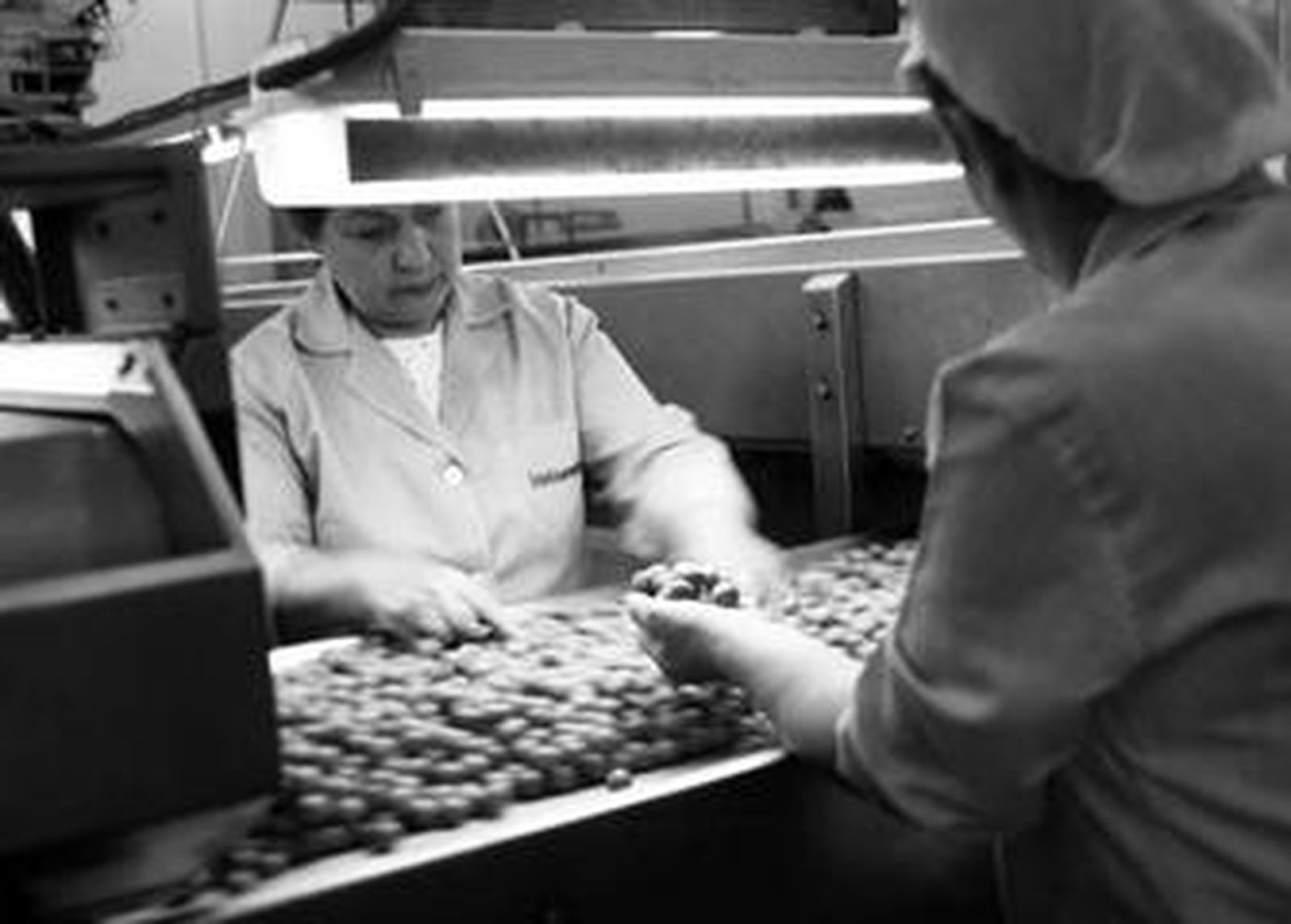 El perfil medio del paciente es el de mujer, trabajadora y de mediana edad.