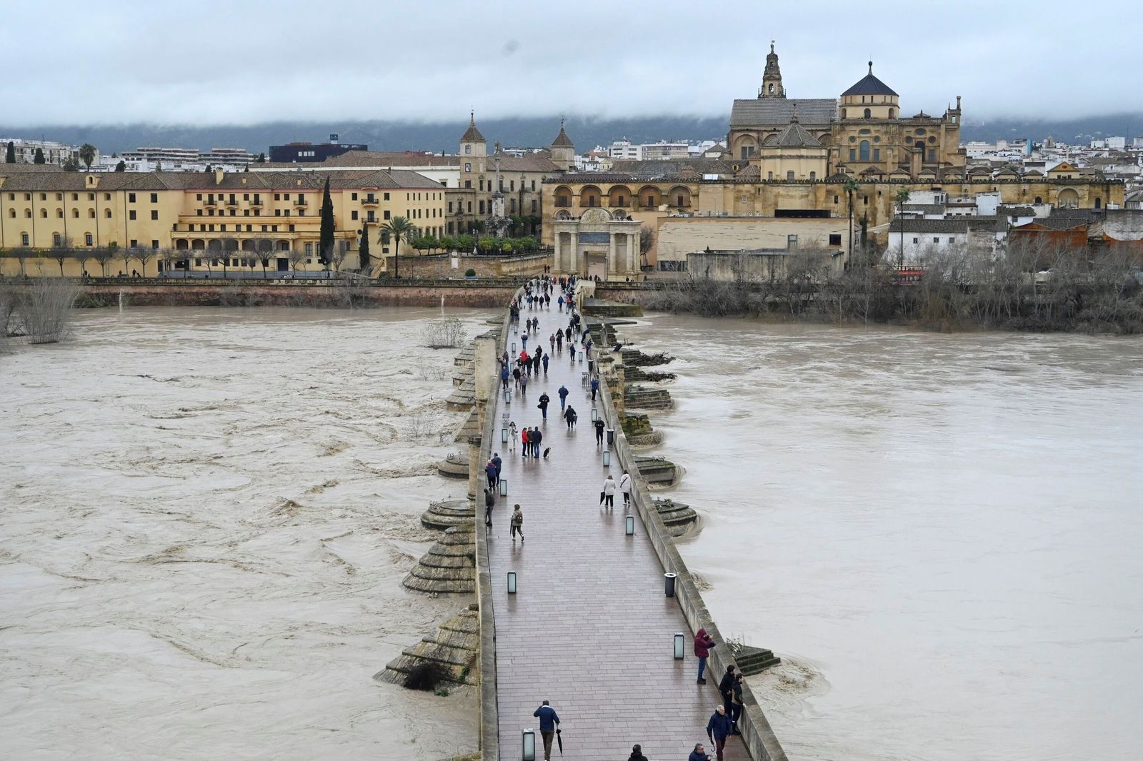 La impresionante crecida del río Guadalquivir: se acerca a los 6 metros a su paso por Córdoba