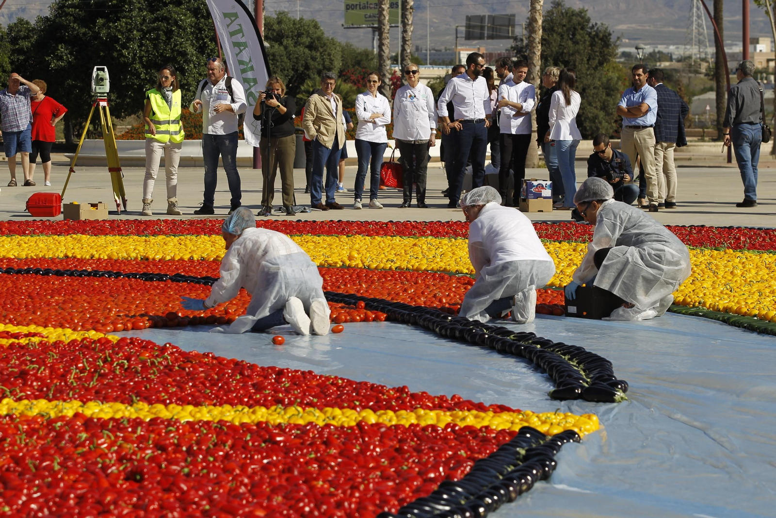 Fotogalería Récord Guinness Corazón Hortalizas Almería