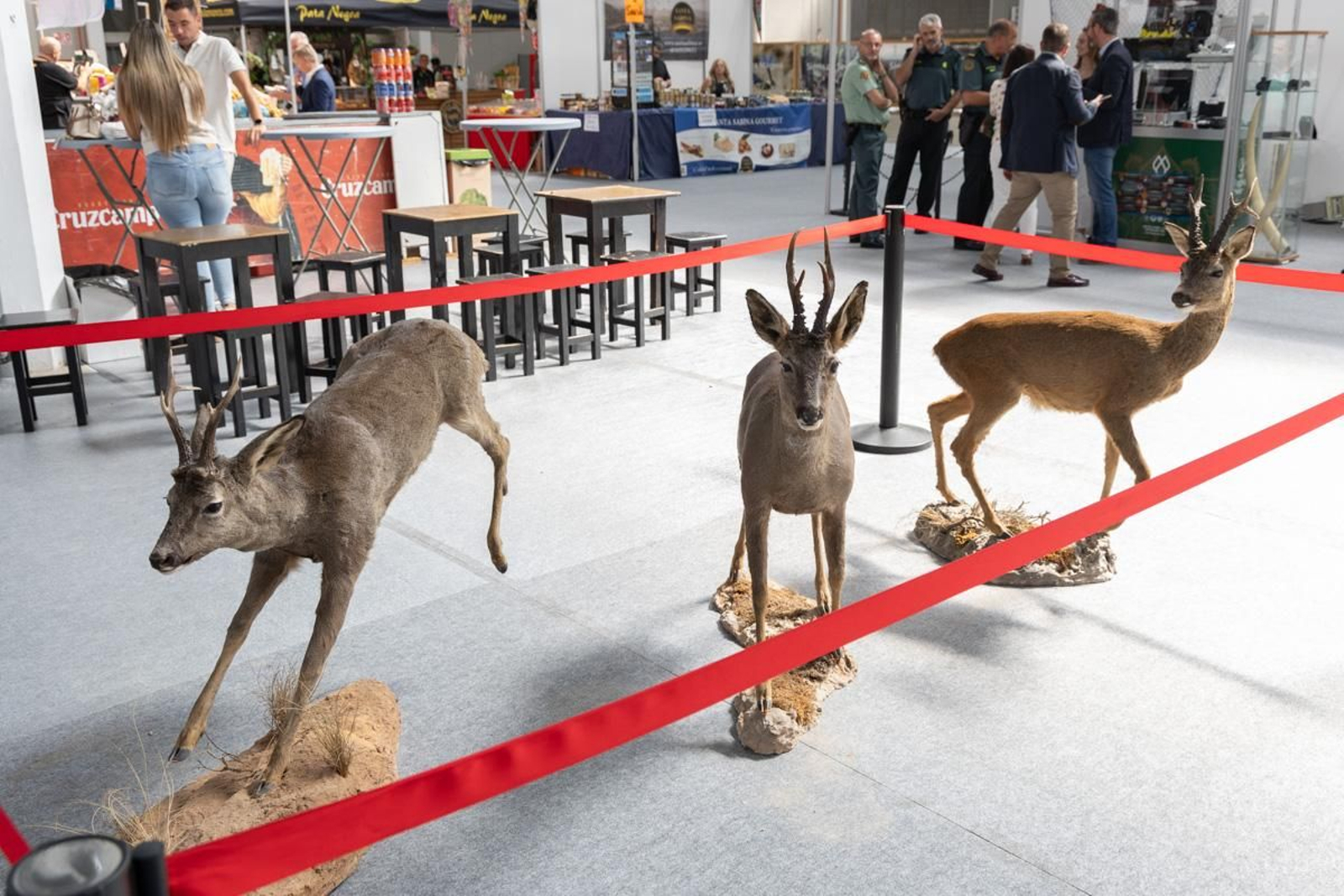 Ibercaza 2024, Jaén