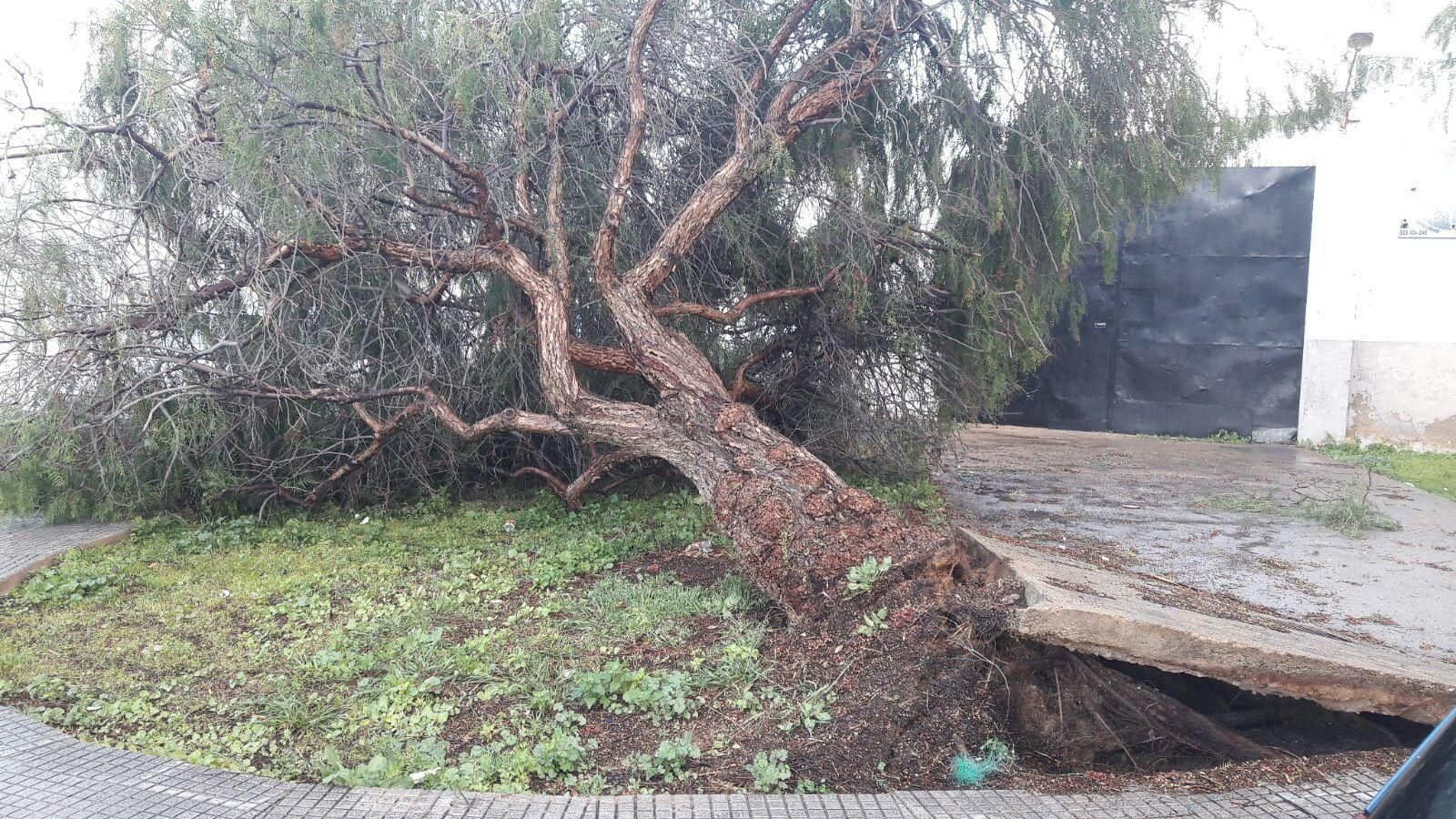 Tornados en la provincia de Huelva