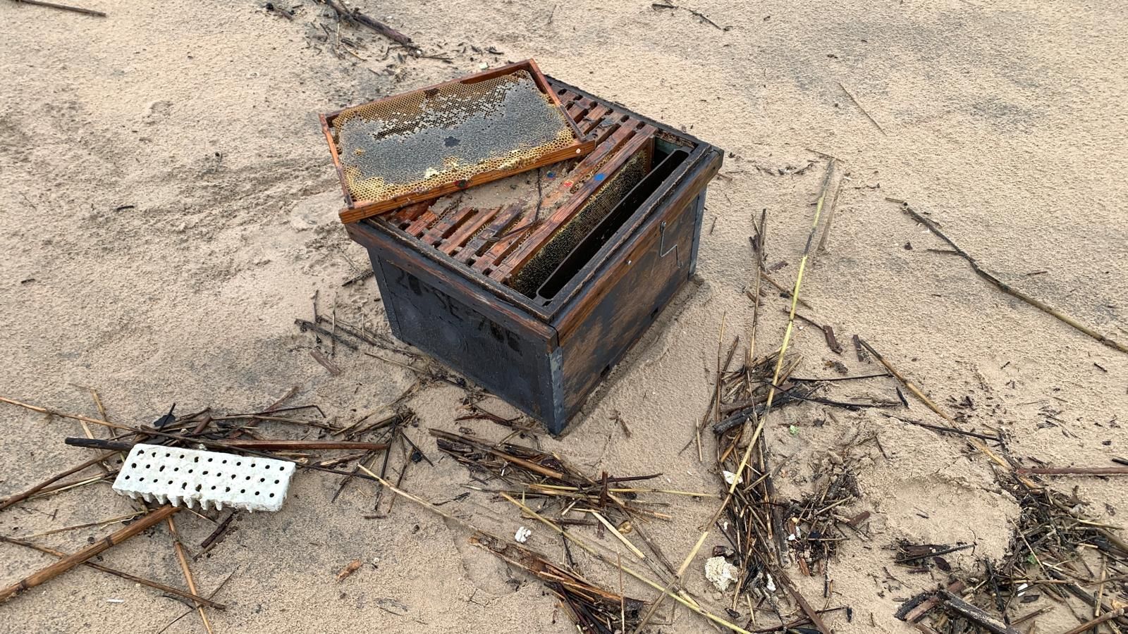 Una de las colmenas que han aparecido estos días en la playa de Valdelagrana.
