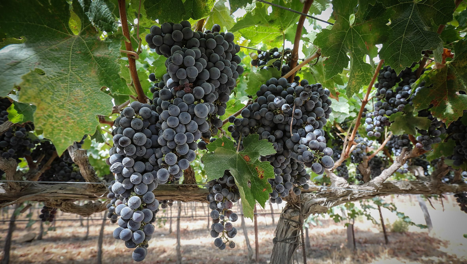 En el corazón de Tesalia