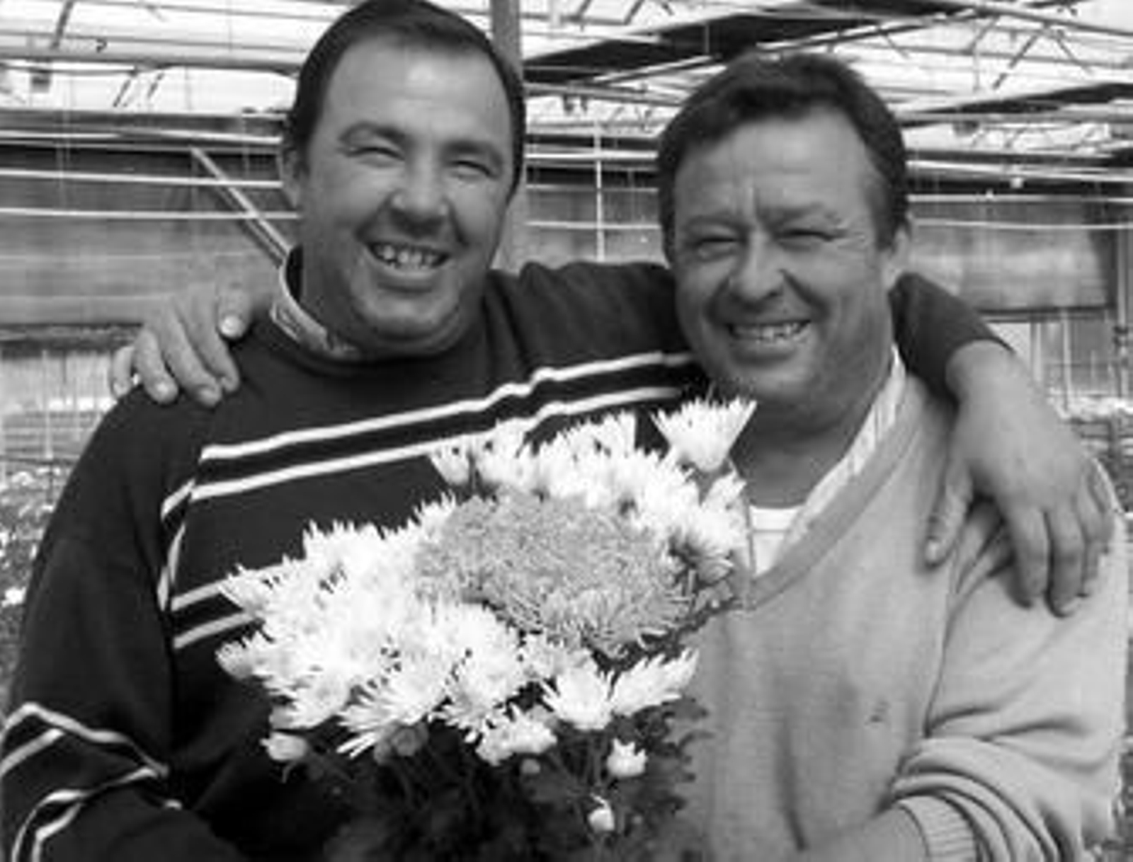 Los hermanos Vázquez Junquero en sus invernaderos de Chipiona.