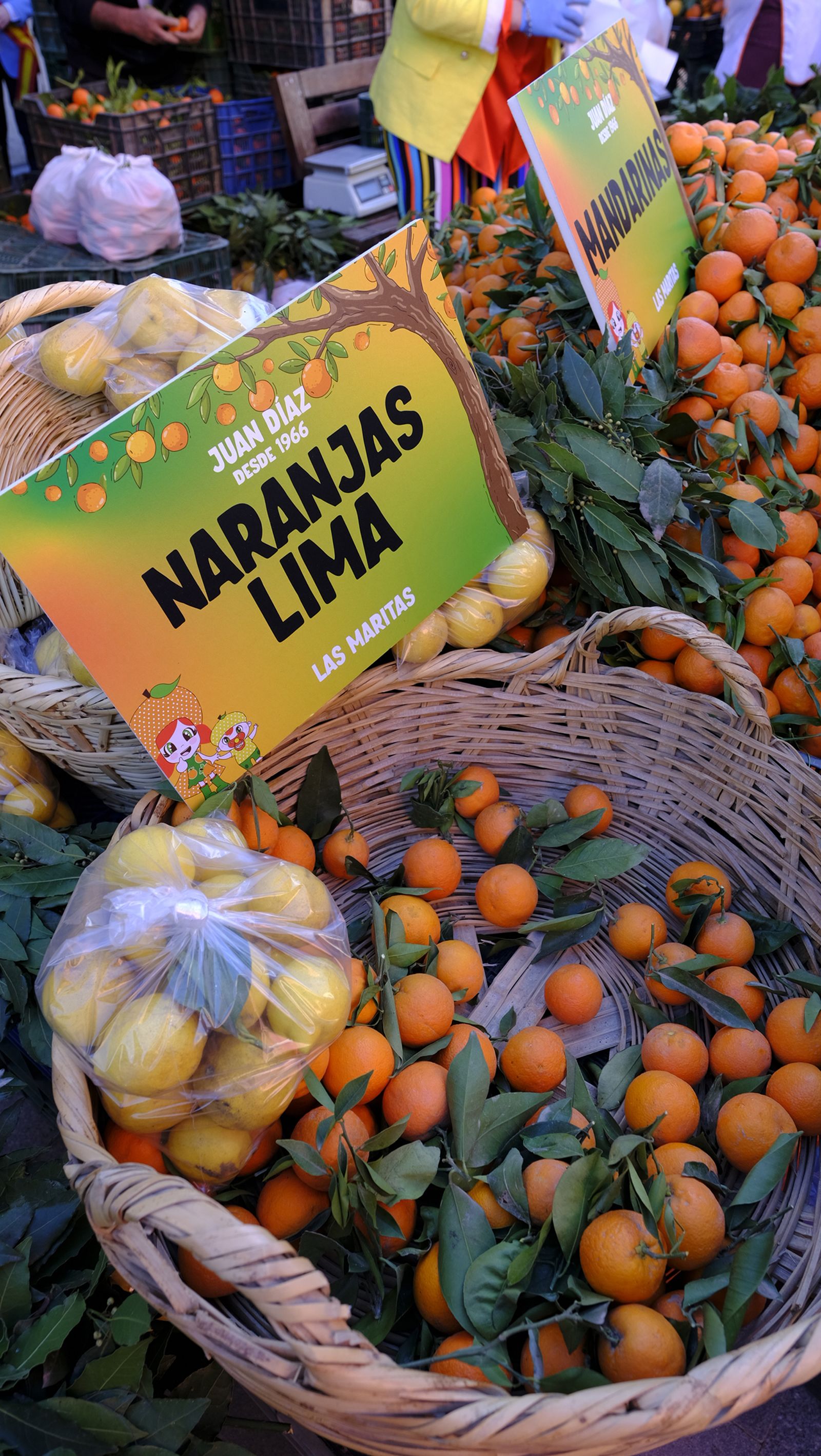 El Día de la Naranja en Gádor, en imágenes