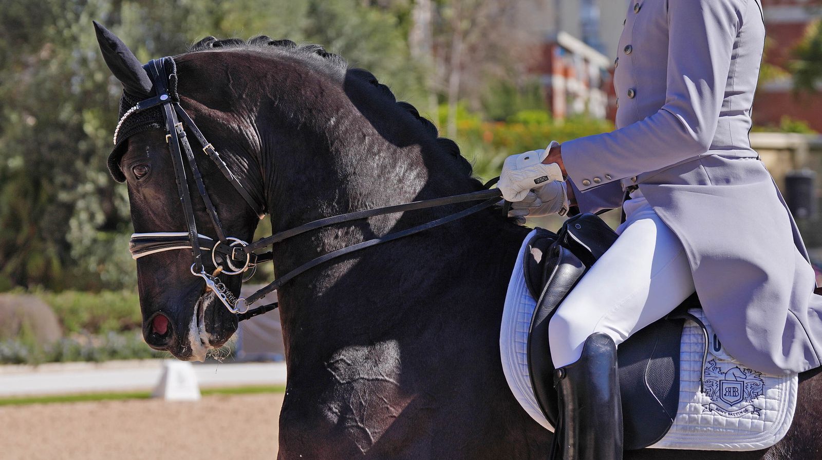 Concurso de Doma Clásica internacional en la Real escuela de Jerez