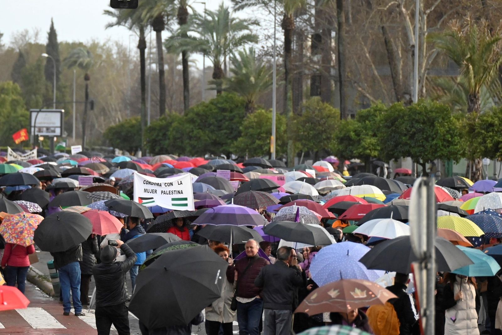 La manifestación del 8M en Córdoba, en imágenes