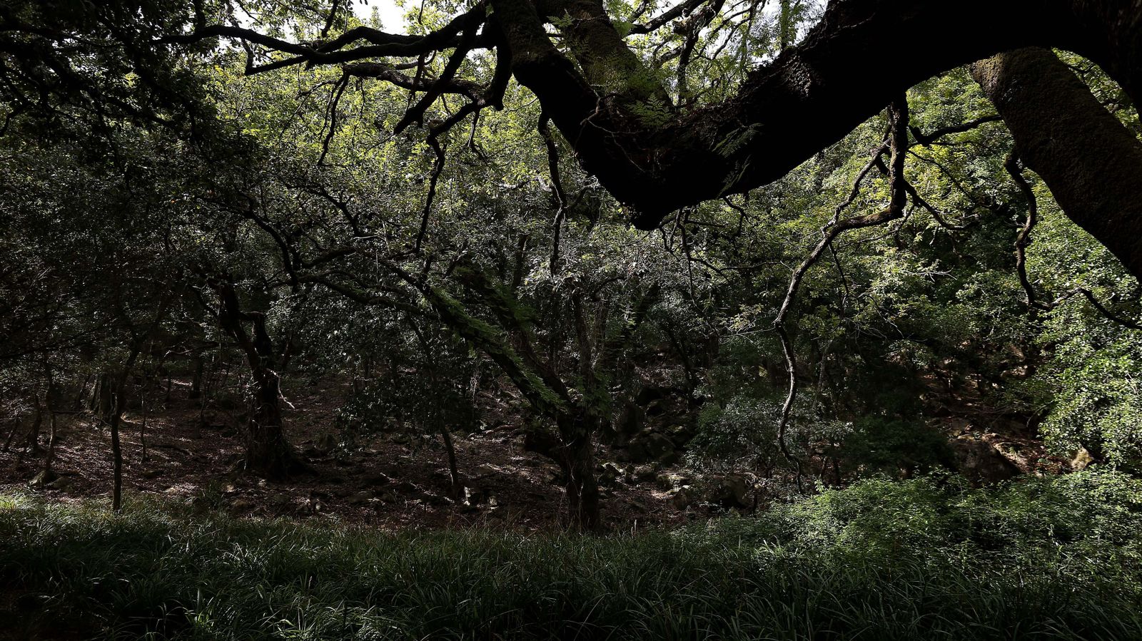 Las mejores fotos de San Carlos del Tiradero