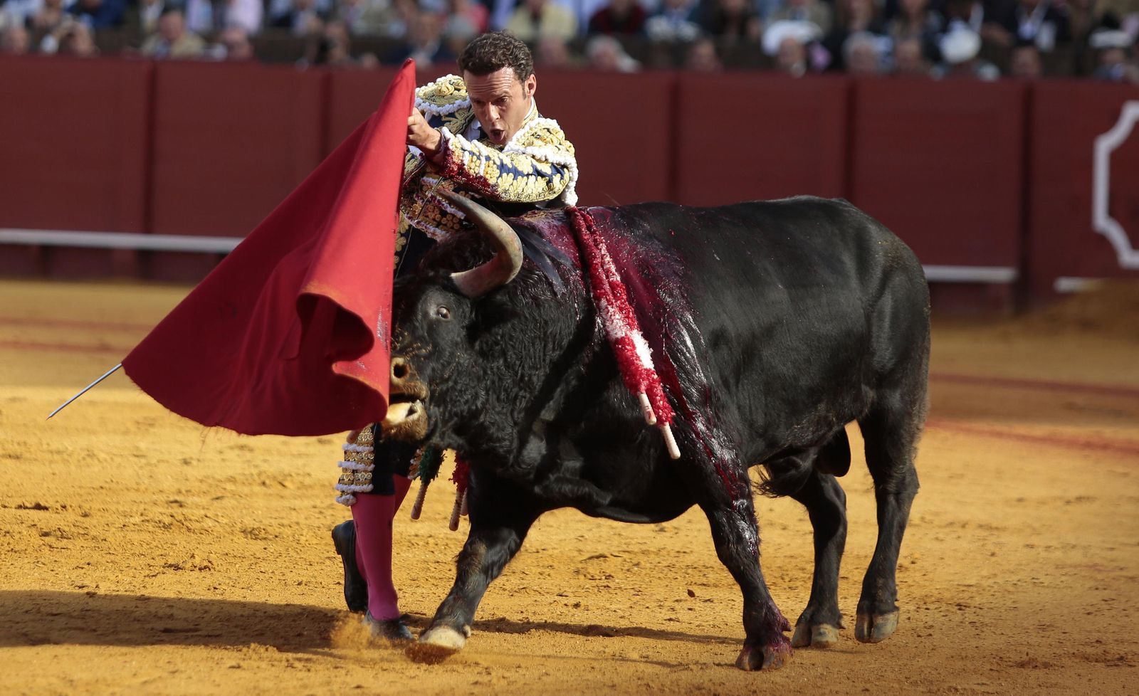 Las imágenes de la undécima de abono de la Maestranza