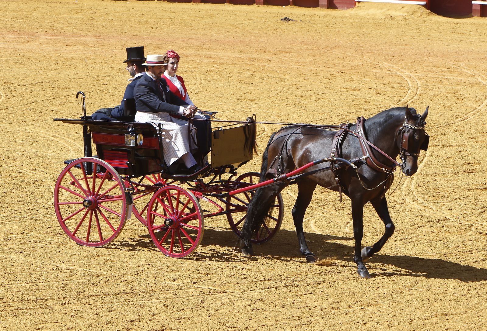 Exhibición de Enganches