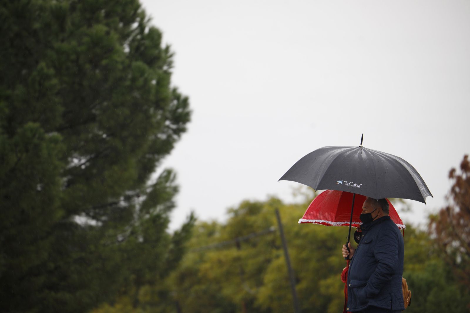 Las fotografías del paso de la borrasca Filomena por Córdoba