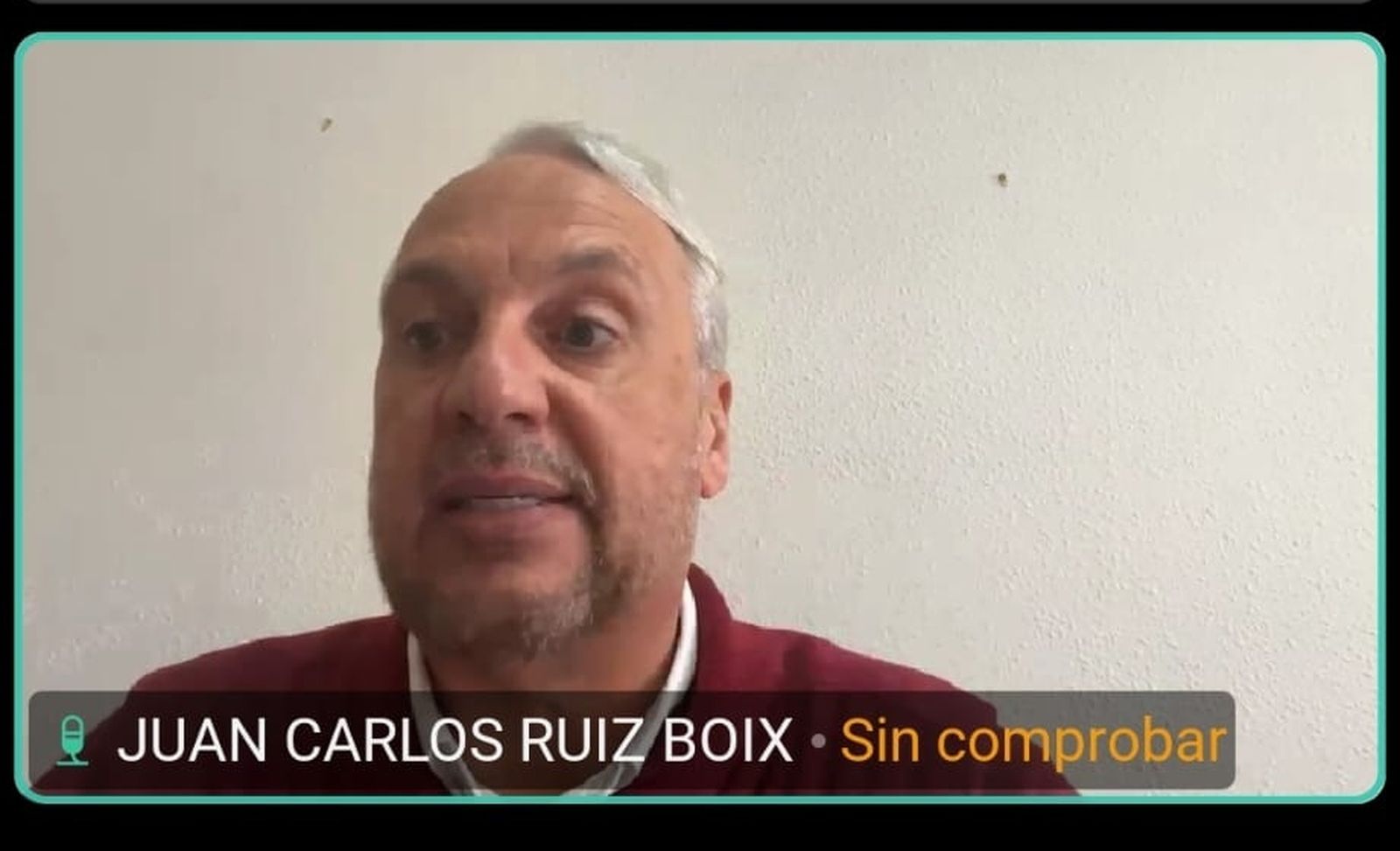Ruiz Boix, durante la rueda de prensa telemática.