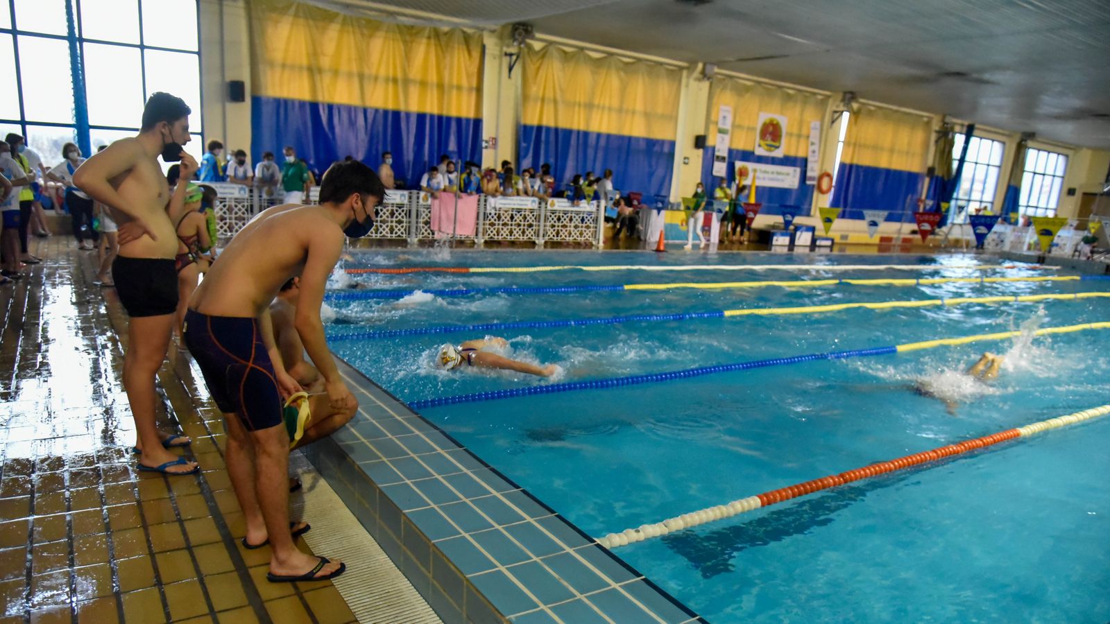 Las fotos del XVII trofeo de natación Día de Andalucía