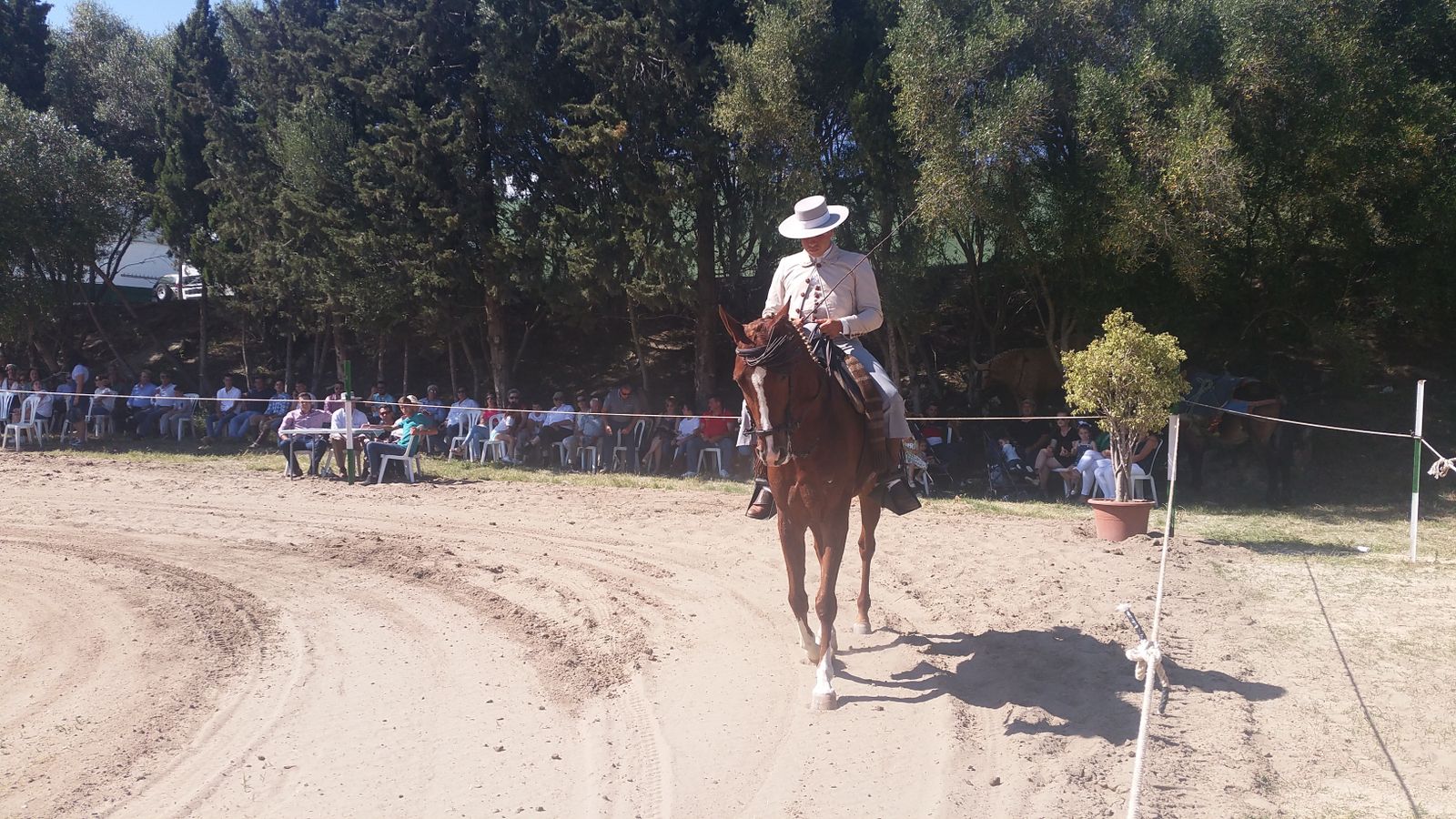 Un jinete en la zona ecuestre de la feria.