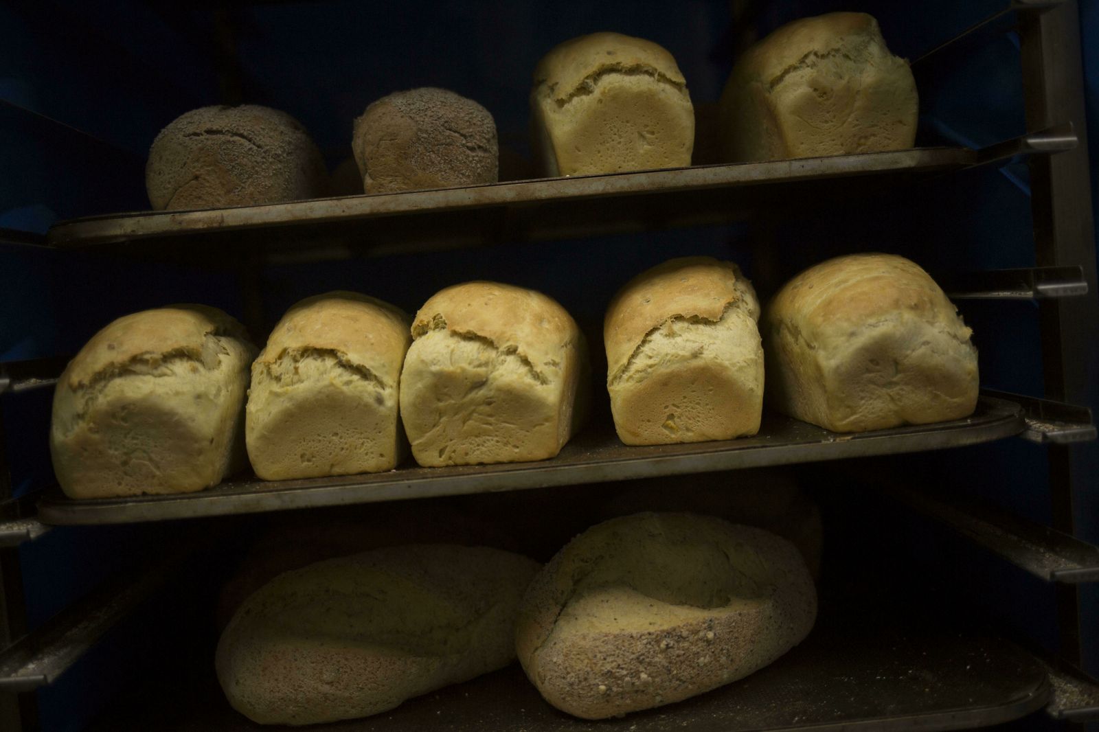 Las fotos del pan gourmet de Algatocín