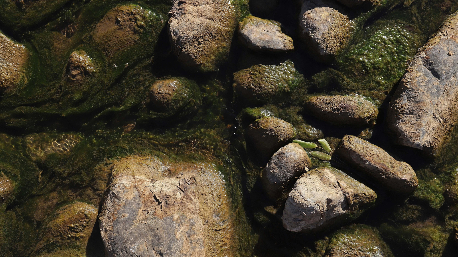 Las mejores fotos del sendero del Río Hozgarganta