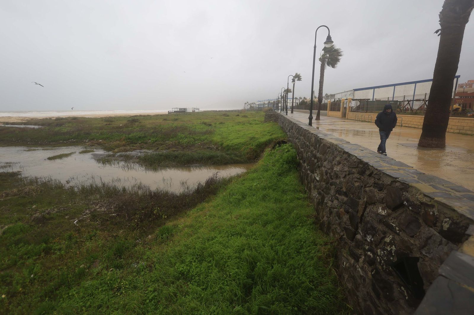 Fotos de los efectos de la borrasca Leonardo en Tarifa, Algeciras y Castellar