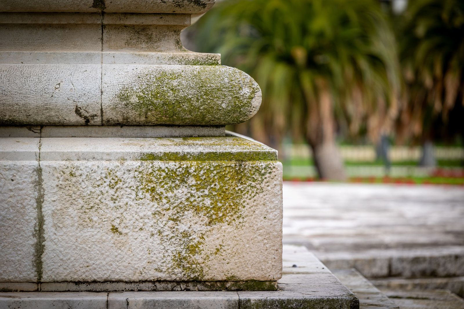 Las imágenes del mal estado de la Plaza de España en Cádiz