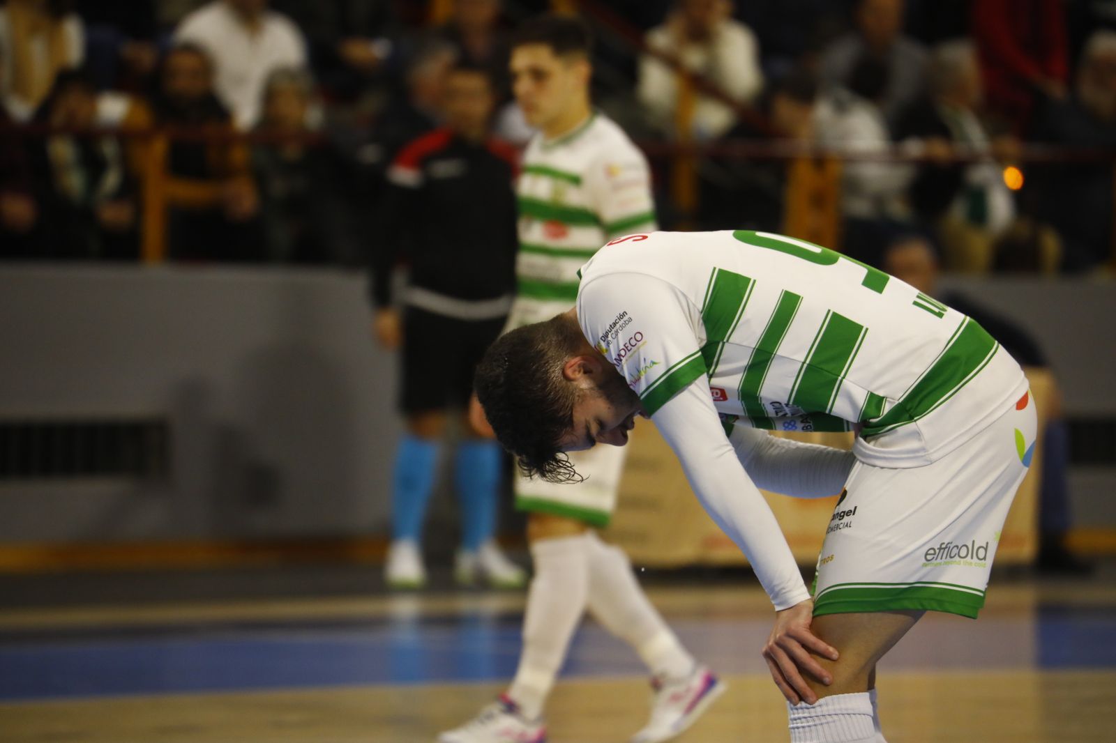 La victoria del Córdoba Futsal ante el Osasuna Magna, en imágenes