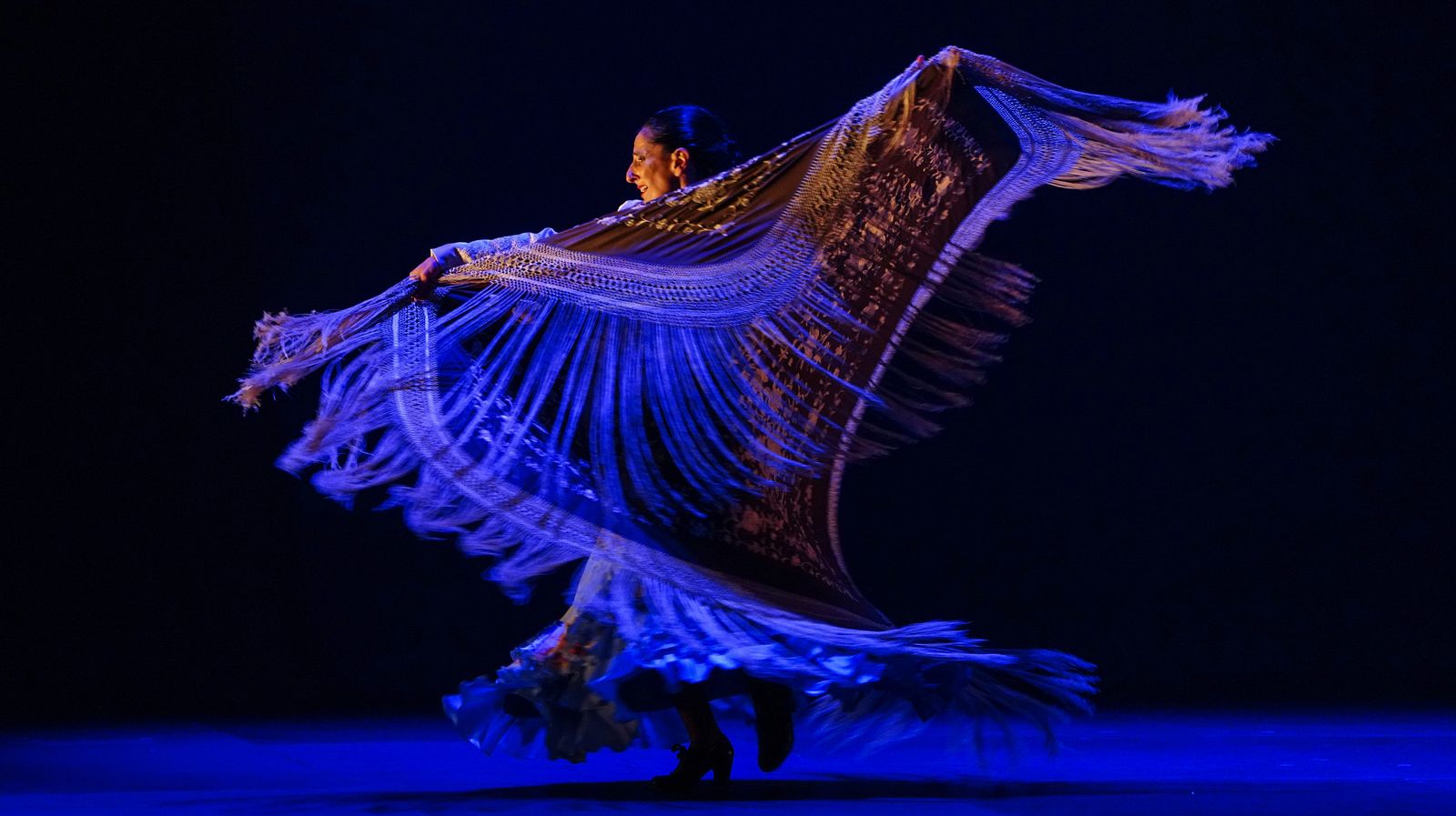 Mercedes Ruíz presenta 'Segunda piel' en el Villamarta