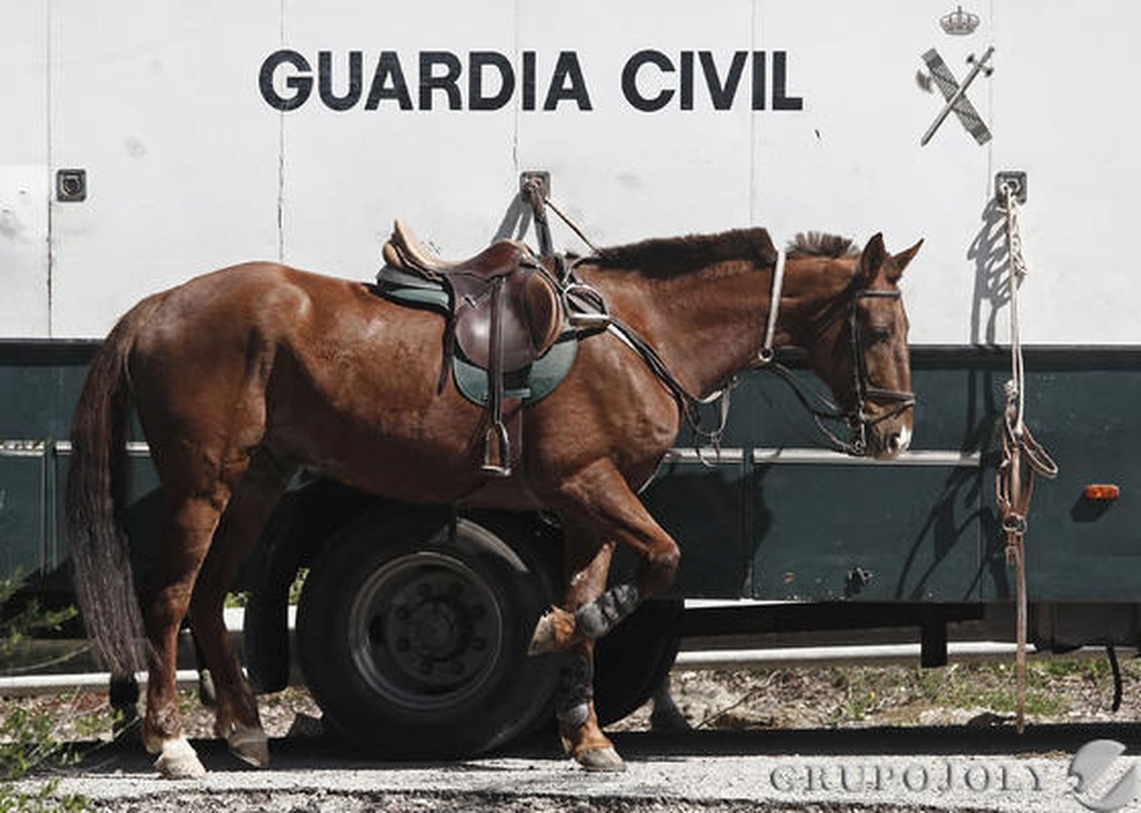 Romería de Los Barrios

Foto: Erasmo Fenoy / Fran Montes